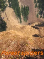 Forest Spiders