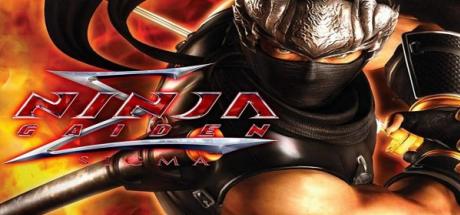 ninja gaiden 2 pc game free