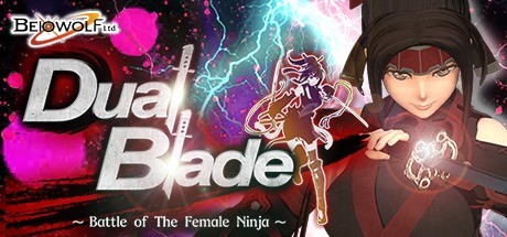 Dual Blade Battle of The Female Ninja - PC Game Download via Torrent