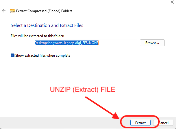 Unzip (Extract) downloaded file